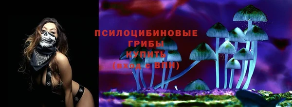стафф Абаза