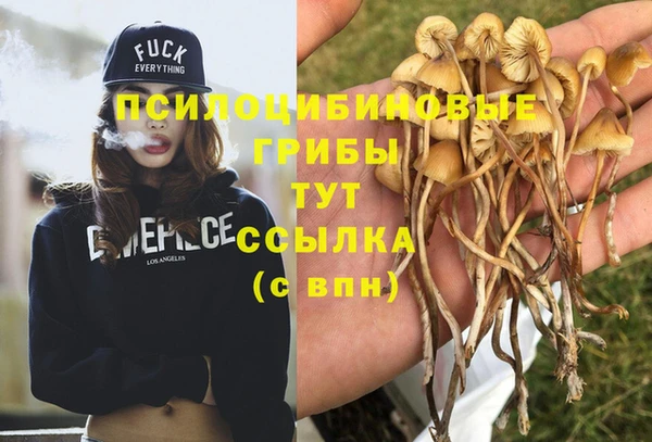 синтетический гашиш Абдулино